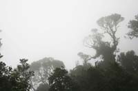 10_t_kunath_KL_Fog_M#7C030A